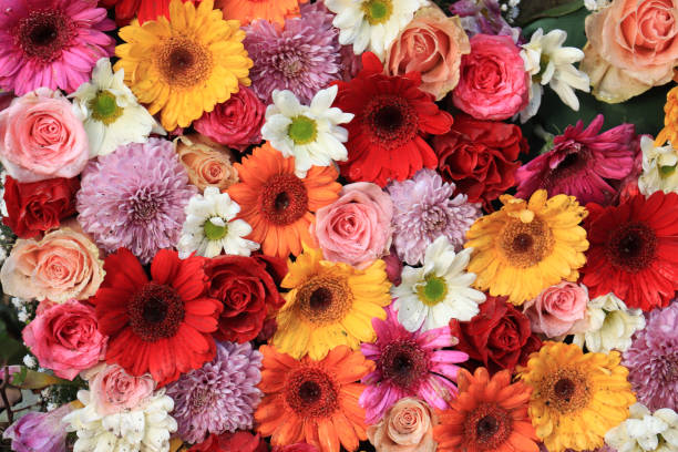 Upgrade - Add Extra Flowers to Value